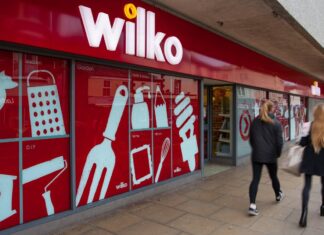 Take a Wilko’s Survey and win a £100 Gift Card Wilko’s Survey www.wilkohaveyoursay.com win a £100 Gift Card