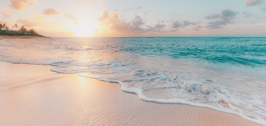 Screenshot_2019-04-14 The last night of a two week stay on HD photo by Sean O ( seantookthese) on Unsplash(1) Next Beach Holiday