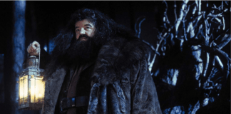 Worst Hogwarts Staff Members