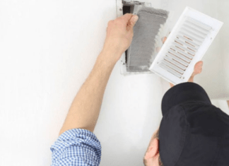 Air Duct Cleaning Mississauga: What Types of Mould Is Removed? Air Duct Cleaning Mississauga