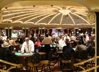 How to Choose the Best Online Casino in NZ