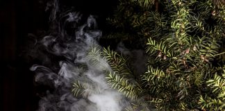 desktop vaporizers