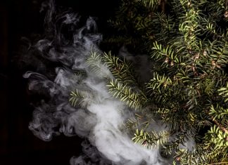 4 Reasons why people still invest in desktop vaporizers today desktop vaporizers