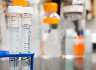 How to Get Tested for STDs and Why it is Important