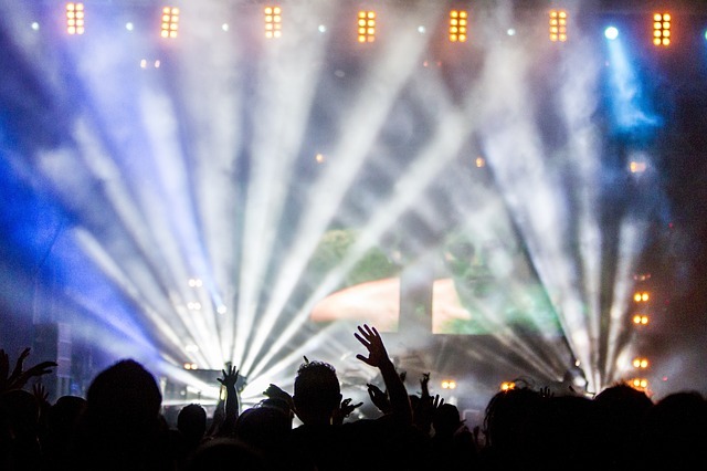 concert, performance, audience