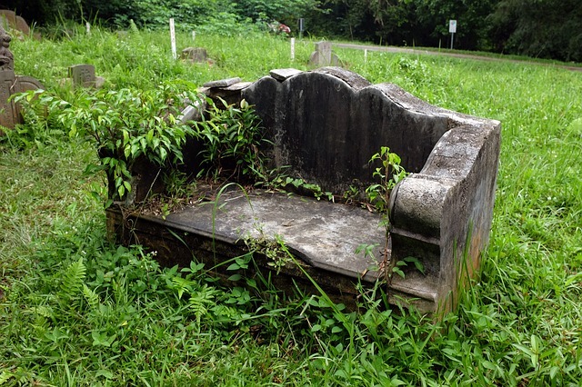 old stone bench, abandoned cemetery, double tomb old stone bench, abandoned cemetery, double tomb