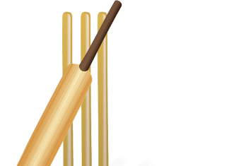 Why Are Cricket Fans In Love With Fantasy Sports?