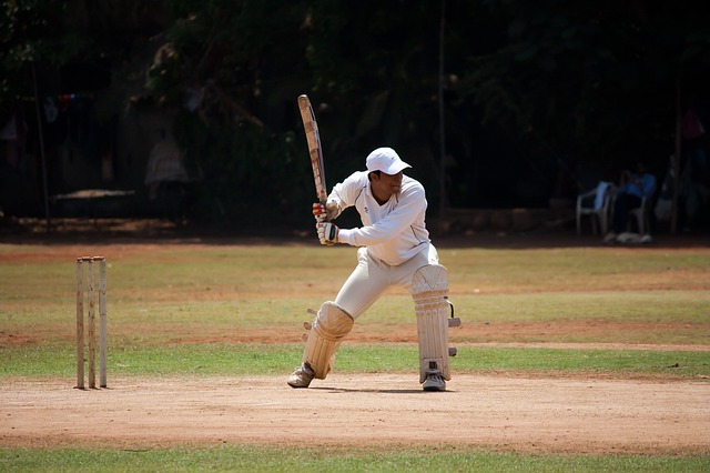 cricket, batsman, sports cricket, batsman, sports