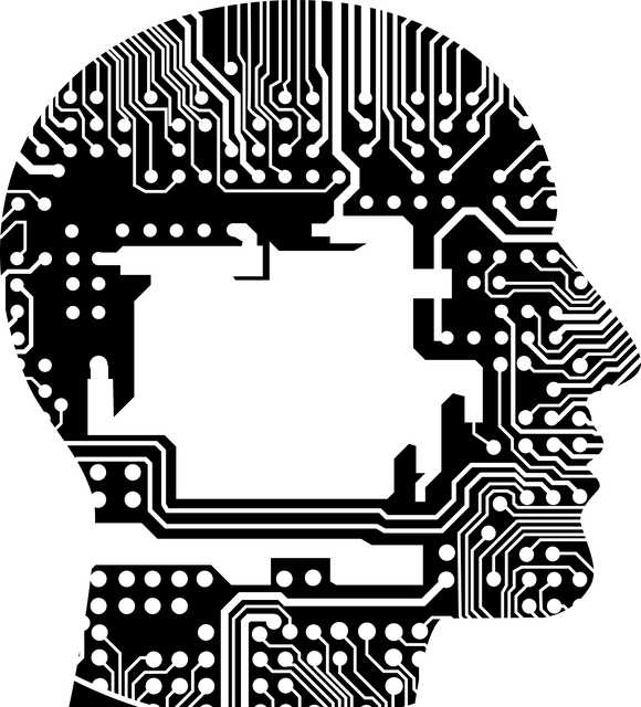 cranium, head, human cranium, head, human