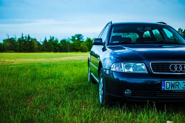 audi, a4, meadow audi, a4, meadow
