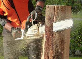 The Ultimate Guide to Buying the Right Chainsaw