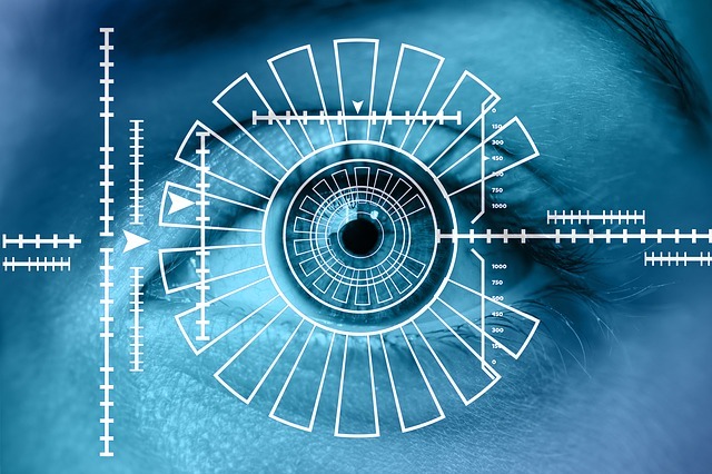 eye, iris, biometrics eye, iris, biometrics