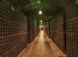 How to Build a Wine Cellar: Designing Your Dream Cellar