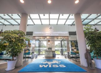 Working in an International School in China