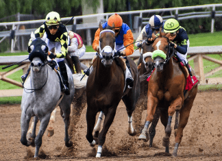 Top 7 Wealthiest Horse Races In the World