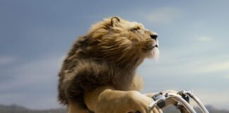 A picture containing outdoor, sky, mammal Description automatically generated