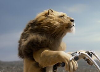 A picture containing outdoor, sky, mammal Description automatically generated