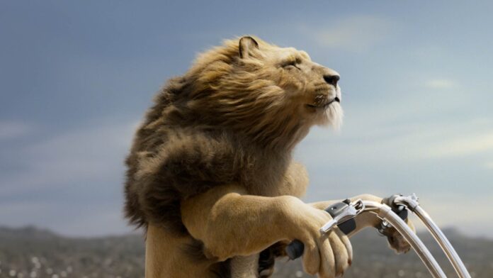 a-picture-containing-outdoor-sky-mammal-descrip A picture containing outdoor, sky, mammal Description automatically generated