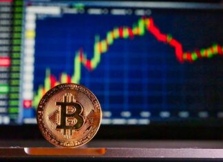 A Bitcoin Strategy for Every Newbie Bitcoin Trader!