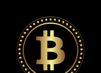 What are the differences between investing in and trading bitcoin?