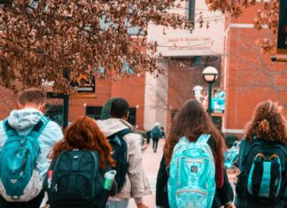 Diversity in US Universities: How to Maintain It