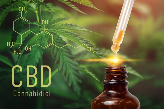 Cannabis CBD oil extracts in jars herb and leaves. Concept medical marijuana