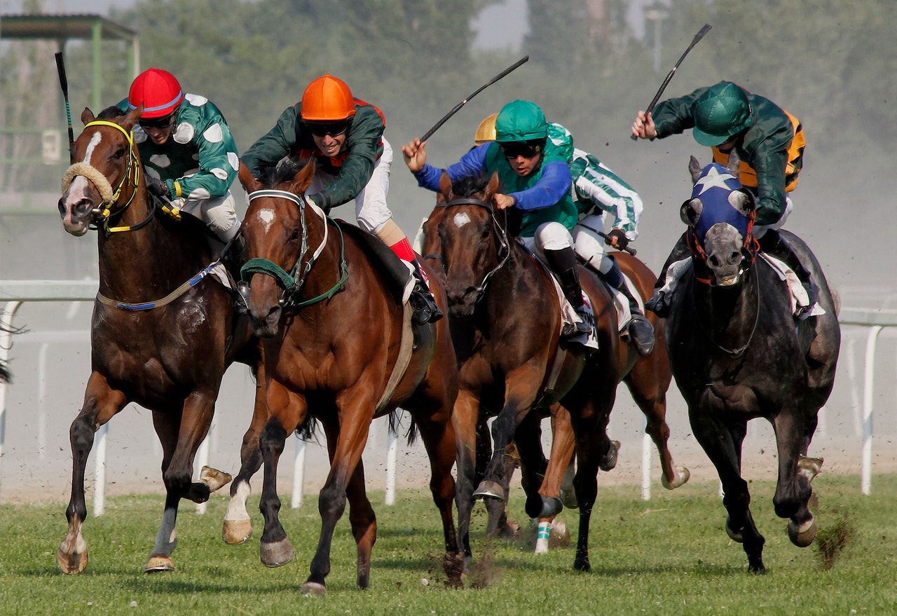 A group of people riding horses Description automatically generated with medium confidence