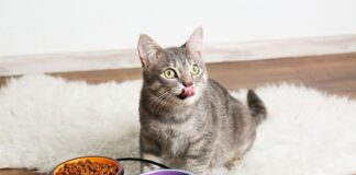 C:\Users\PC\Downloads\AdobeStock_140702976.jpeg