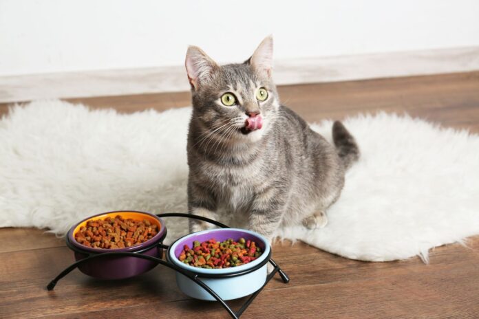 c-users-pc-downloads-adobestock_140702976-jpeg C:\Users\PC\Downloads\AdobeStock_140702976.jpeg