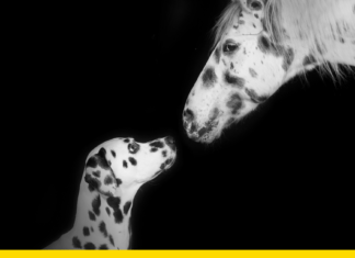 7 Ways to Improve Testing Efficiency in Application Development fb_img_1200x630-2