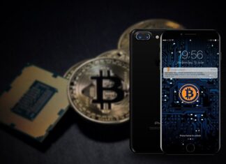 Why is the bitcoin wallet so important? Here are the details!