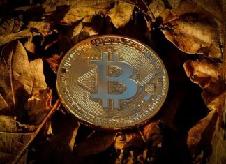 How Bitcoin is changing the Investment Landscape