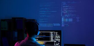 Software Developer, Web Developer, Programmer