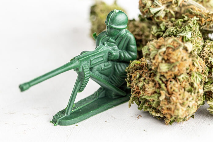 Army,Man,Or,Woman,Around,Cannabis,Prescription,On,White,Background