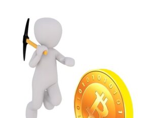 Losing Bitcoins: What is There that You Have to Know?