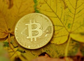Want to start a BTC business? Let’s tell you how to do it!