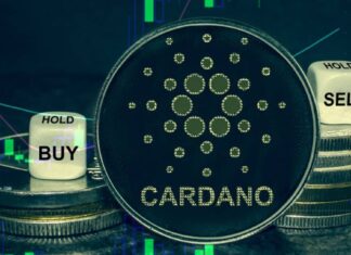Cardano reaching its goal of a massive community eco-friendly project buy cardano - Cardano reaching its goal of a massive community eco-friendly project