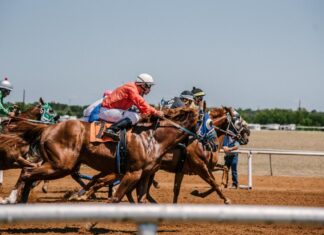 How to Make a Killing in the Sports Betting Business: Professional Tips