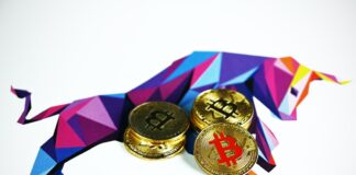 gold and silver round coins