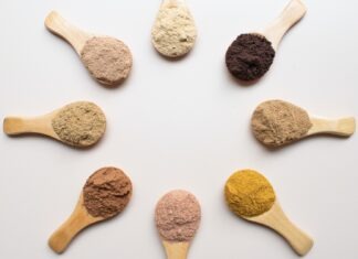 What Is Mushroom Extract Powder And What Can It Do For You