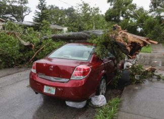 10 Things to Do After a Road Accident red car parked on gray concrete road