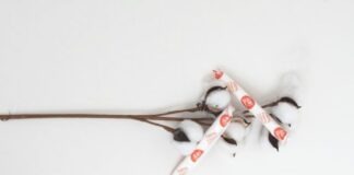 white and red snow ski