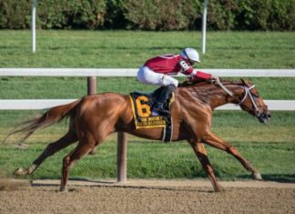 What’s the Relationship Like Between Competing Jockeys? Jockey riding horse