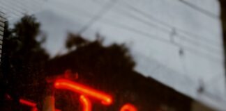 red love neon light signage