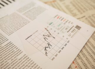 What is the significant impact of bitcoin on the economy of Ukraine? text