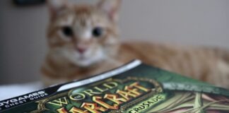 brown tabby cat on green and white textile