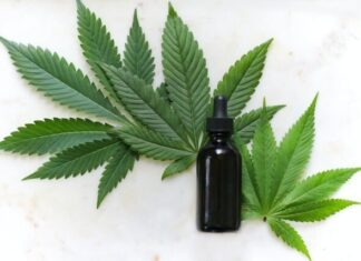 USA: CBD laws and THC levels! green cannabis leaves and black glass drops bottle
