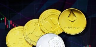 gold round coins on purple surface