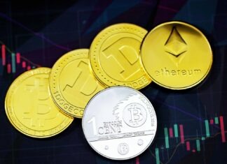 Shiba inu to lose market to which cryptocurrencies? gold round coins on purple surface