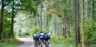 people riding bicycles on road during daytime